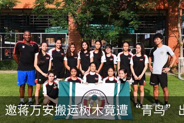 邀蒋万安搬运树木竟遭“青鸟”出征，清洁队长：我好内疚、很难过
